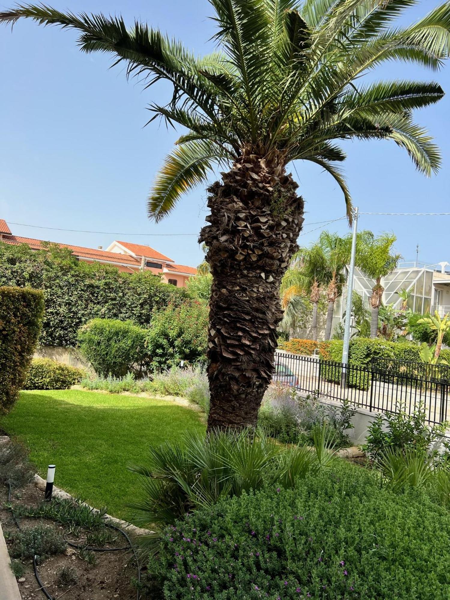 Rocamar Apartment Avola Bagian luar foto